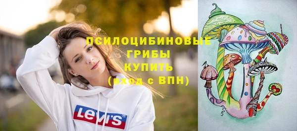 гидра Алзамай