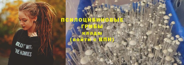 экстази Алексин